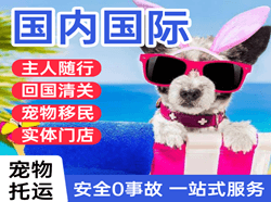 黄花机场快递国际宠物托运 【国